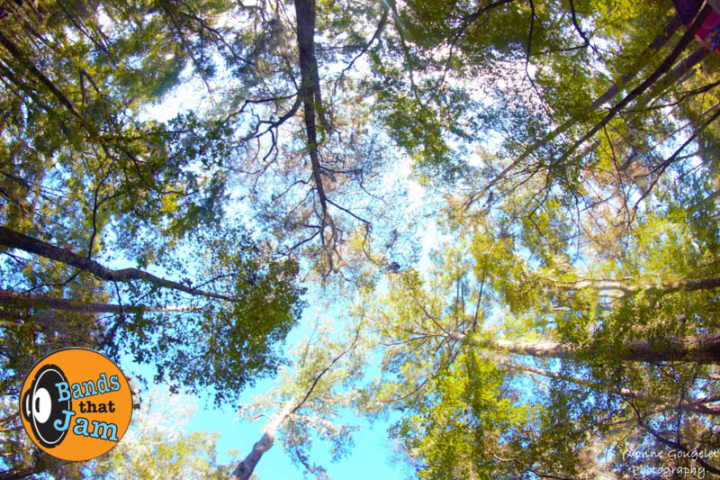 Photo Gallery: What You Missed at Hulaween 2016